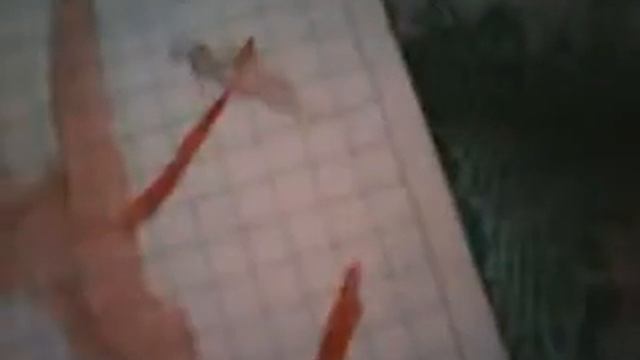 показываю свои рисунки красками смотреть онлайн