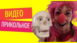 Бесплатное прикольное видео