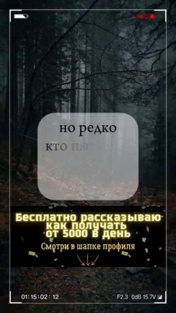 Понимание — ключик от сердец 🔑💬