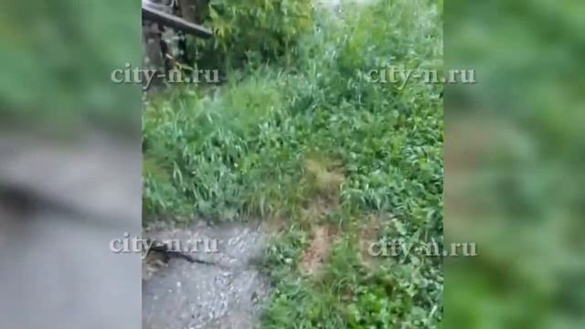 В Новокузнецке многоэтажку затапливает водой, стекающей от частного сектора смотреть онлайн