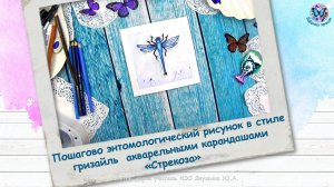 Пошагово энтомологический рисунок акварельными карандашами «Стрекоза»