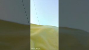 прятки