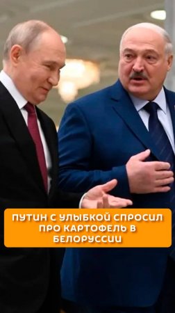 Путин с улыбкой спросил про картофель в Белоруссии