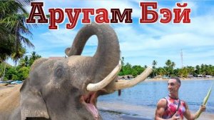 Восток Шри-Ланки | Аругам Бэй | Обзор достопримечательностей