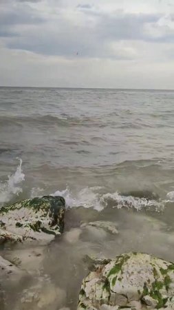 Каспийское море ♥️ #shorts #море #махачкала #каспийскоеморе #красота