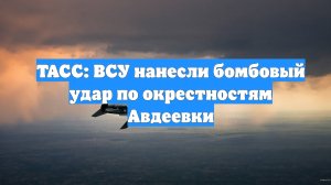 ТАСС: ВСУ нанесли бомбовый удар по окрестностям Авдеевки