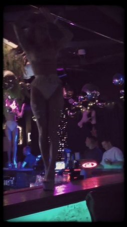 petal_20250527_015221.mp4