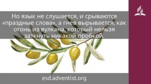 28 мая 2025. Святость и благодать. Под сенью благодати _ Адвентисты