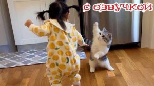 БИТВА ТИТАНОВ!  Приколы с котами! - С ОЗВУЧКОЙ! Самые смешные животные!