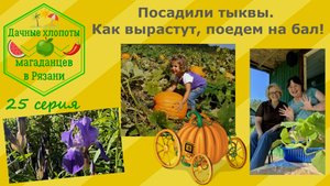 Посадили тыквы. Как вырастут, поедем на бал! 25 серия дачных хлопот магаданцев в Рязани