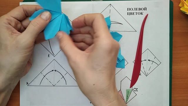 Полевой цветок смотреть онлайн