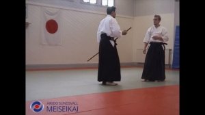 20 Aikido Jo No Tebiki Ai Hanmi Sankyo Shishiya Sensei Sandviken 2002