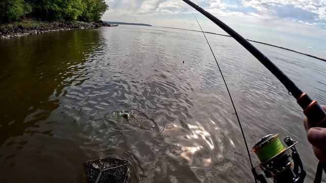 Рыболовная прогулка за хищниками на реке Амур