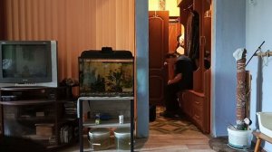 Жизнь после инсульта.О том,о сём,прогулка и за одно заход в магазин.