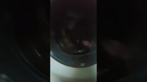 Отжим стиральная машина samsung