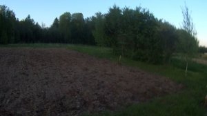 Деревня. 25 мая 2025 год. Чуточку о саде . Летний душ строительство продолжается.