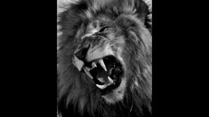 Old Skool Jungle Mix Lion Tear Out Amen Mix 1993, 1994 & 1995