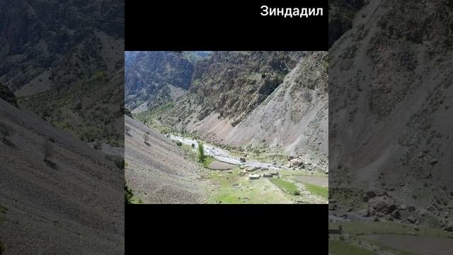 (2) Ҷавонии Абӯбакр Зубайдӣ аз бойгонӣ 2001 г.