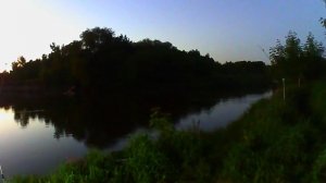 Выезд на сома. Но у сома свои планы.