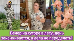 Вечер на лесном хуторе. День заканчивается, а деле нет!  Отвечаю на вопросы про учёбу сына