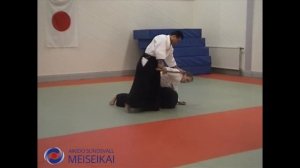 26 Aikido Ken No Tebiki Ai Hanmi Ikkyo Omote Shishiya Sensei Sandviken 2002