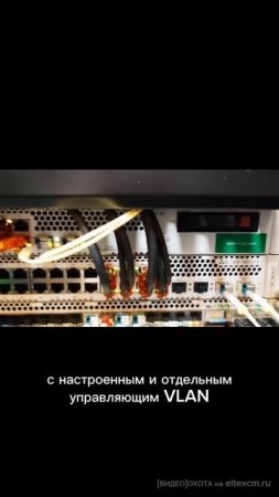 Коммутатор доступа MES2424 Eltex. Видео[Охота] на eltexcm.ru