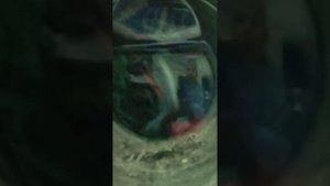 washing machine Samsung быстро 29 30теп part3/4