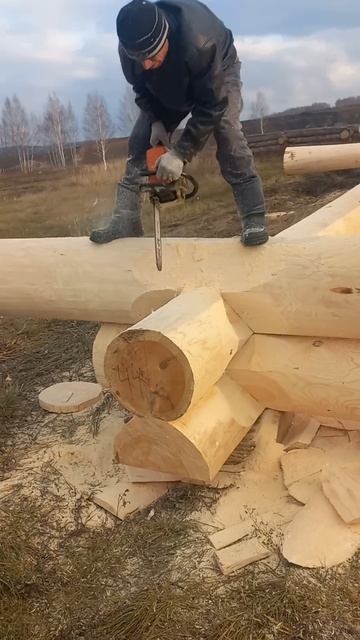 Канадская рубка . Бензопила Штиль. Рубщики срубов из М? смотреть онлайн