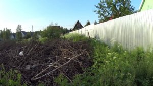 Купил дачу. Обзор участка