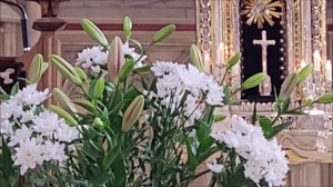 Сложная музыка органа…