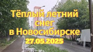 Тёплый летний снег выпал в Новосибирске 27.05.2025г. Снег в конце мая в Новосибирске.