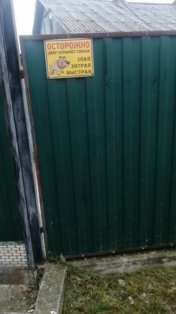 Немного юмора