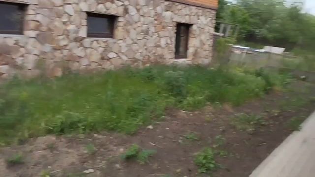 video5307982774970381008