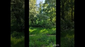Ашман парк в Калининграде