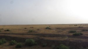 Средняя Азия. Участок Арысь - Туркестан. Утро 18 мая 2025.