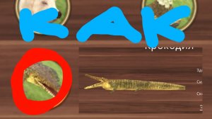 Как убить кракала в Cat Sim