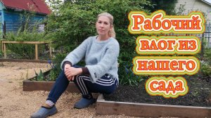 Трудовые будни дачника: высадка капусты, посев зелени и гороха.  Навели красоту в малиннике.