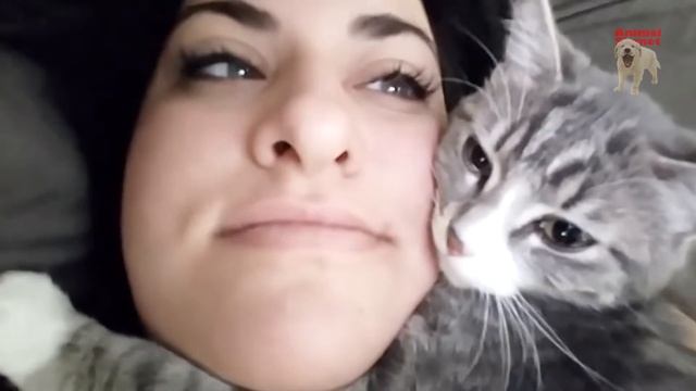 Сute cat & her mistress. Big love story смотреть онлайн