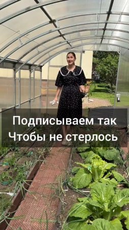 Чем подписать растения,  чтобы точно ничего не стерлось.