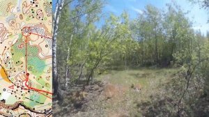 25 05 25, Барсуковский карьер, ЧиП Тульской области, М16, Ярослав, headcam orienteering