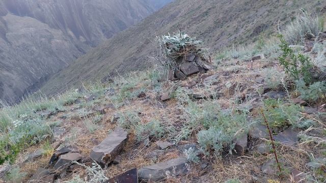 Модкабк Шикори Бахори Шикори. Модкабк Мастак шикор  Хе смотреть онлайн