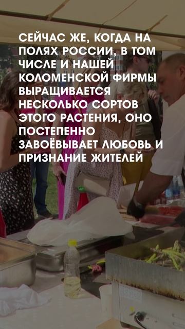 Фестиваль спаржи