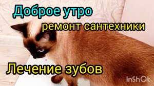 Доброе утро,27-05-2025,лечение зубов,сантехника подвела #поговорим #жизнь инвалида #проблемы