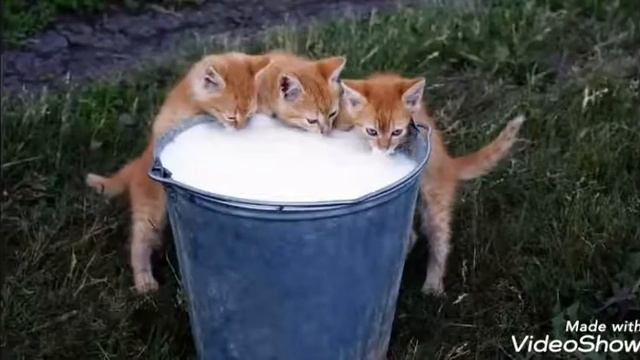 Элджей 360 (без мата) клип смотреть онлайн