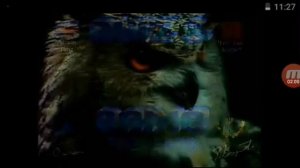 Утро попугая Кеши (1992) RYTP