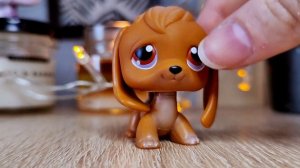 LPS: опять грязные петы | Распаковка новых лпс |