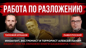 Иноагент, экстремист и террорист Алексей Панин нашел себя на обложке книги Казакевича «Звезда»