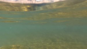 ныряю зимой