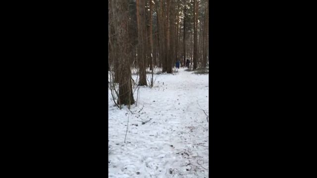 VLOGОлени в городе. Мои новые вязаные вещи в работе. Красивые места Парка За Саймой.