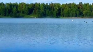 На рыбалке (май 2025 река Буян Самарской  области).